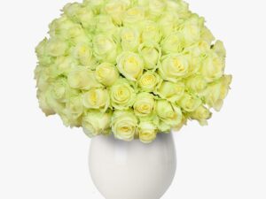 Buchet de 101 trandafiri albi