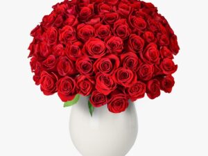 Buchet de 101 trandafiri rosii
