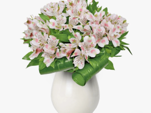 Buchet de 11 alstroemeria roz