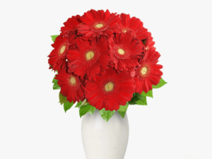 Buchet de 11 gerbera rosii