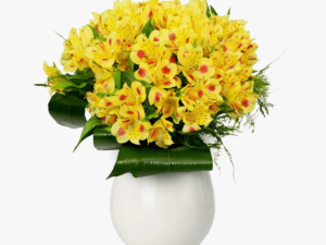 Buchet de 15 alstroemeria galbene