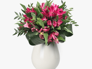 Buchet de 15 alstroemeria roz