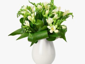 Buchet de 15 frezii albe