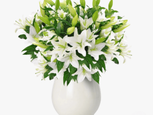 Buchet de 17 crini imperiali albi