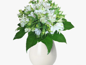 Buchet de 19 alstroemeria albe