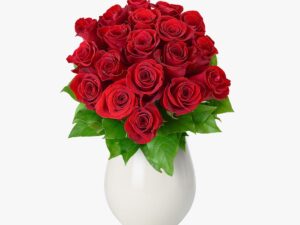 Buchet de 19 trandafiri rosii
