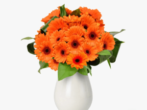 Buchet de 21 gerbera portocalii