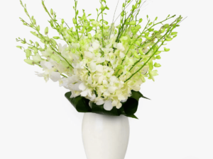 Buchet de 21 orhidee dendrobium albe