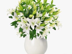 Buchet de 25 crini imperiali albi