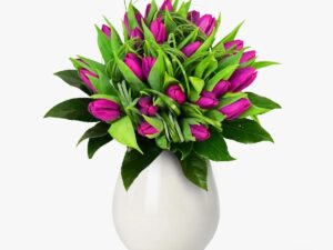 Buchet de 25 lalele mov