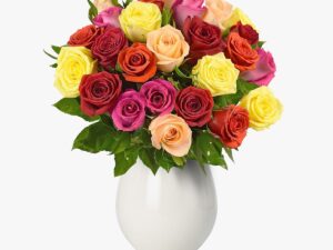 Buchet de 25 trandafiri multicolori
