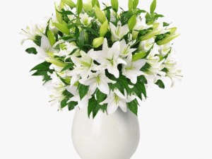 Buchet de 35 crini imperiali albi