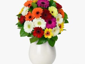 Buchet de 35 gerbera multicolore