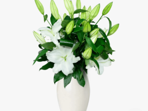 Buchet de 5 crini imperiali albi