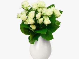 Buchet de 5 minirosa albi