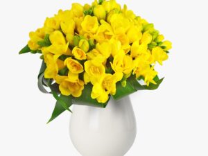 Buchet de 55 frezii galbene