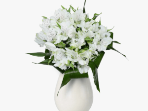 Buchet de 7 alstroemeria albe