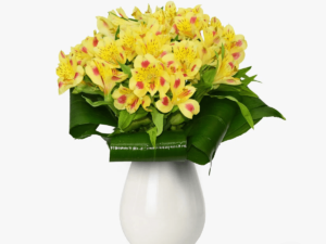 Buchet de 7 alstroemeria galbene