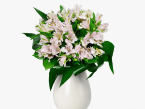 Buchet de 7 alstroemeria roz