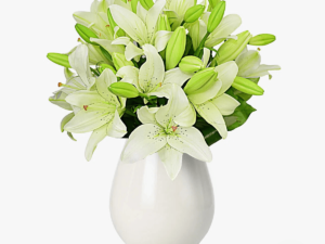 Buchet de 7 crini imperiali albi