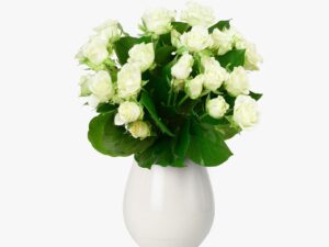 Buchet de 7 minirosa albi