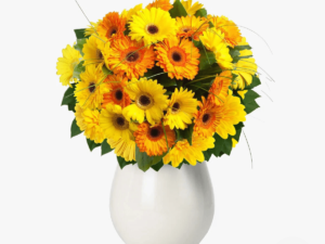 Buchet de 75 gerbera galbene