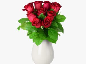 Buchet de 9 trandafiri rosii