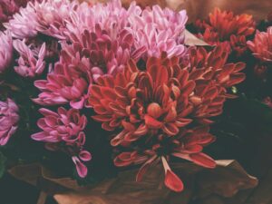 Flori, buchete, aranjamente florale