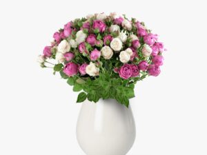 Pura fericire 25 MINIROSA